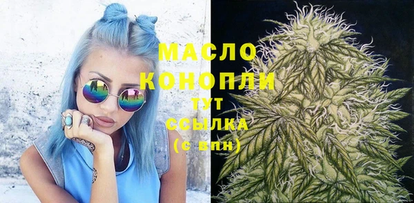 прущий лед Абаза