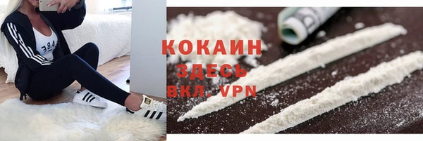 прущий лед Абаза