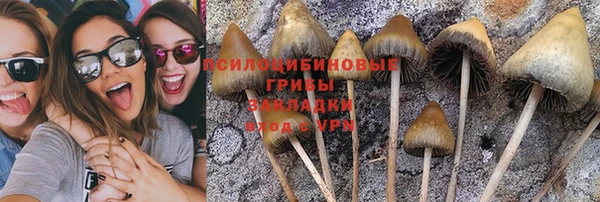 хмурый Абдулино
