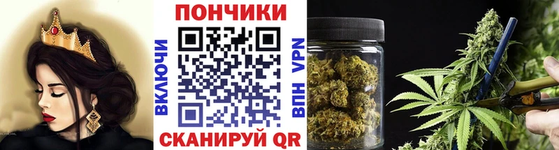 Конопля сатива  где купить   мориарти состав  Элиста 